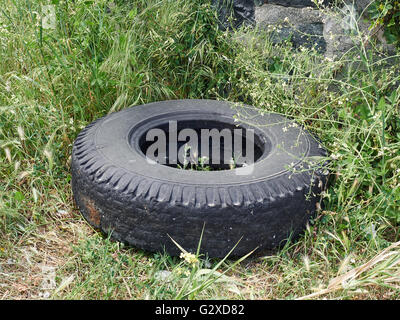 Vieux pneus de camion abandonné dans l'herbe. Symbole de pollution atmosphérique Banque D'Images