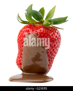 La fraise au chocolat isolé sur le fond blanc. Banque D'Images