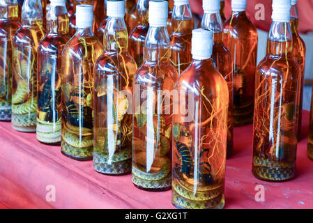 L'alcool avec des scorpions et des serpents sur l'île de Donsao vente Laos Banque D'Images