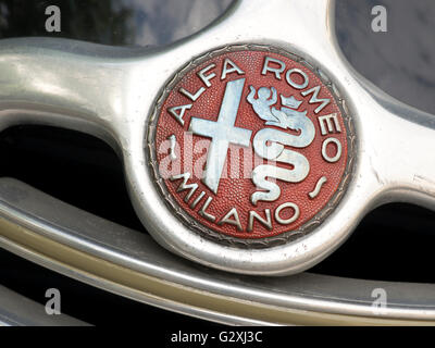 Alfa Romeo 6C Freccia D'Oro 1948 badge radiateur Sport Banque D'Images