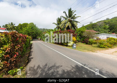 La Route de la côte sud de l'Anse Forbans dans le sud de Mahe, Seychelles Banque D'Images