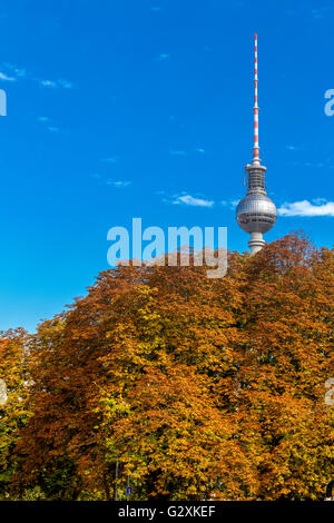 La tour de télévision ou Telecafè , Alexanderplatz ,à travers les feuilles de l'automne , la plus haute structure de l'Allemagne, Berlin , Allemagne Banque D'Images