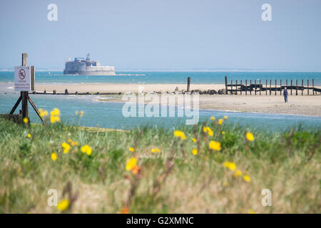 Dog Walkers marche sur la plage près de St Helen's Fort, à Bembridge sur l'île de Wight Banque D'Images