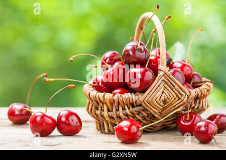 Panier avec cherry close up on table in garden Banque D'Images