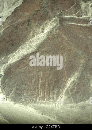 Astronaute, lignes de Nazca Banque D'Images