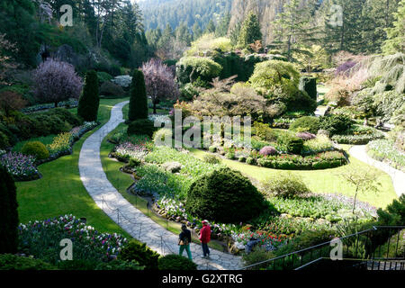 Les Butchart Gardens au printemps, le jardin en contrebas Banque D'Images