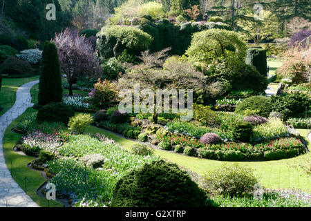 Les Butchart Gardens au printemps, le jardin en contrebas Banque D'Images