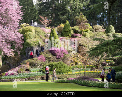 Les Butchart Gardens au printemps, le jardin en contrebas Banque D'Images