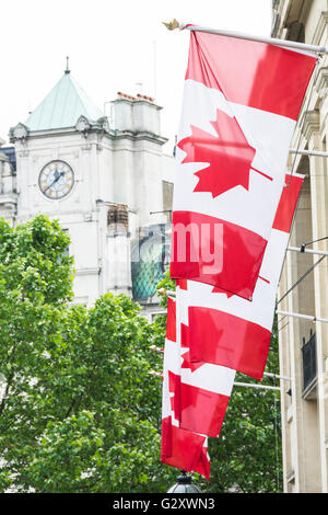 Des drapeaux canadiens à l'extérieur de l'avion du Haut-commissariat du Canada à Trafalgar Square à Londres, Royaume-Uni Banque D'Images