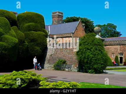 Dans Ayscoughfee topiaire Hall, Spalding, Lincolnshire, Angleterre, Royaume-Uni Banque D'Images