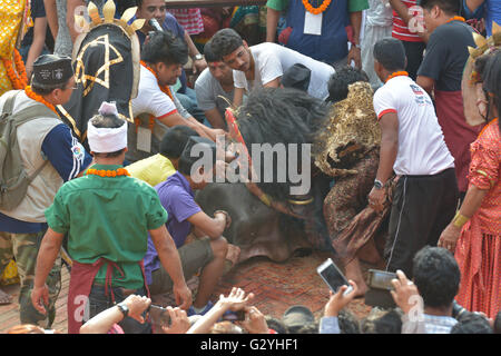 Kathmandu, Népal. 4 juin, 2016. Une personne accomplit les rituels à l'occasion de Bagh Bhairav festival, qui est célébrée une fois tous les 12 ans en Patan Durbar Square, site du patrimoine mondial de l'UNESCO à Kathmandu, Népal le samedi, Juin 04, 2016.Ce festival est célébré pour offrir des prières à la Divinité Bagh Bhairav, également connu sous le nom de la divinité gardienne de Kirtipur qui est l'un des plus anciens établissements humains de la communauté Newari au Népal. Credit : imagespic/Alamy Live News Banque D'Images