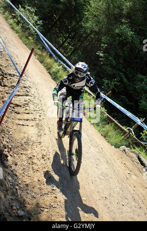 Fort William, Royaume-Uni. Le 05 juin, 2016. Craig Evans GBR sur le parcours, pour la Coupe du Monde de VTT de descente à Fort William, Écosse le 5 juin 2016. Credit : Malcolm Gallon/Alamy Live News Banque D'Images