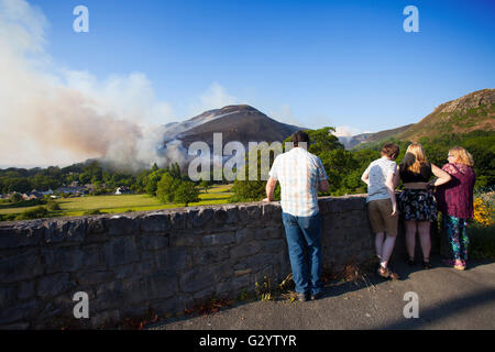 Conwy, Nord du Pays de Galles, Royaume-Uni. 5 juin 2016. UK - Haute température enregistrée sur le Nord du Pays de Galles ont donné lieu à des incendies à Alltwen heather mountain, près de Dwygyfylchi. Le Nord du Pays de Galles Fire Service restent sur la montagne la lutte contre la propagation et les craintes sont que les maisons ont dû être évacués. Banque D'Images