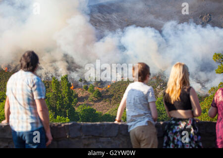 Conwy, Nord du Pays de Galles, Royaume-Uni. 5 juin 2016. UK - Haute température enregistrée sur le Nord du Pays de Galles ont donné lieu à des incendies à Alltwen heather mountain, près de Dwygyfylchi. Le Nord du Pays de Galles Fire Service restent sur la montagne la lutte contre la propagation et les craintes sont que les maisons ont dû être évacués. Banque D'Images