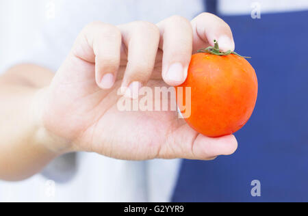 Tomate rouge frais dans la main de l'Homme asiatique Banque D'Images