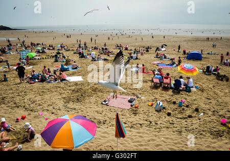 Les mouettes à la station balnéaire de l'île de Barry au pays de Galles. Banque D'Images