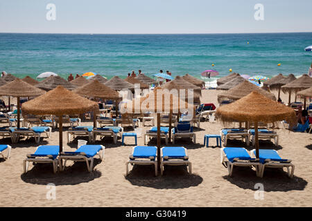 Des chaises longues et des parasols sur la plage de sable de plage de la Vénus, Marbella, Costa del Sol, Andalousie, Espagne, Europe, PublicGround Banque D'Images