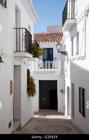 Maisons Blanches dans une ruelle étroite à Frigiliana, Nerja, Costa del Sol, Andalousie, Espagne, Europe, PublicGround Banque D'Images