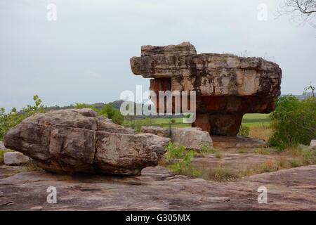 Peintures rupestres autochtones sur un rocher connu sous le nom de rêve, Jabiru Kakadu National Park, Territoire du Nord, Australie Banque D'Images