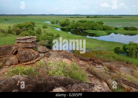 Vue sur les plaines inondables et les zones humides de l'Est près de la rivière Alligator dans l'ouest de la terre d'Arnhem, dans le Territoire du Nord, Australie Banque D'Images