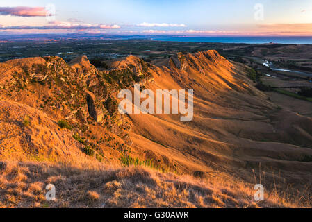 Te Mata Peak au lever du soleil près de Hastings, Napier, Hawkes Bay, North Island, Nouvelle-Zélande, Pacifique Banque D'Images