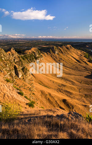 Te Mata Peak au lever du soleil près de Hastings, Napier, Hawkes Bay, North Island, Nouvelle-Zélande, Pacifique Banque D'Images