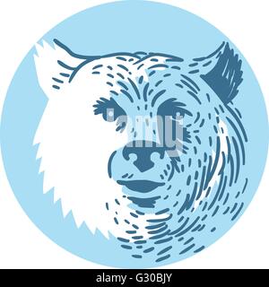 Style croquis dessin illustration d'une tête d'ours smiling vu de l'avant ensemble à l'intérieur du cercle sur fond isolé. Illustration de Vecteur
