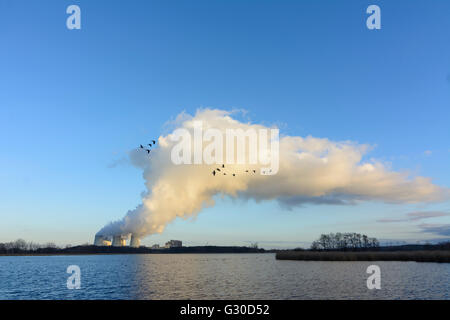 Power Plant de Jänschwalde Vattenfall derrière l'étang Neuendorfer Teich de Peitzer fishponds, Allemagne, Brandenburg , Peitz Banque D'Images