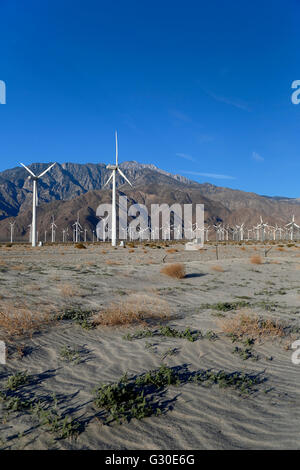 Moulins à vent et les montagnes de San Jacinto (Mont San Jacinto, 10 831 ft.), Col de San Gorgonio Wind Farm, près de Palm Springs, Californie Banque D'Images