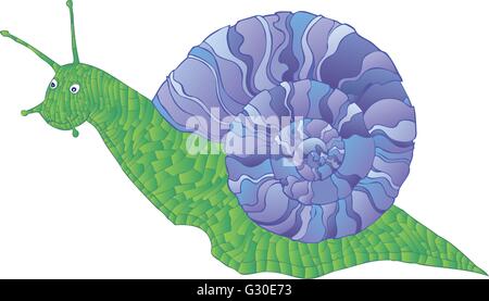 Snail isolé sur fond blanc. Illustration de Vecteur