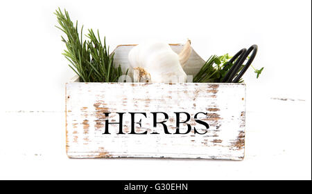 Jardin de fines herbes (romarin, thym, persil, ail) dans la boîte en bois blanc sur la table de cuisine en bois Banque D'Images