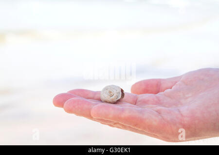 Le nord de l'homme tenant une lune coquille d'escargot qu'il a trouvé sur une plage Banque D'Images