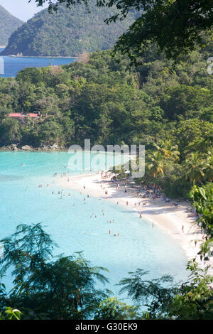 Trunk Bay Beach, St John, US Virgin Islands Banque D'Images