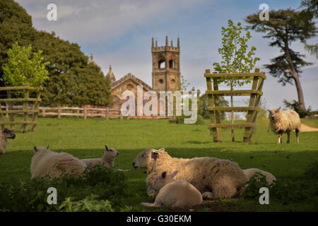 Moutons et agneaux en face d'un temple gothique à Stowe Banque D'Images