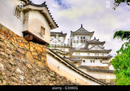 Détails du château de Himeji au Japon Banque D'Images