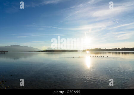 Chiemsee avec canards , les canoéistes et les Alpes en arrière-plan, l'Allemagne, Bavière, Bayern, Oberbayern, Chiemsee, Upper Bavaria, Chiem Banque D'Images