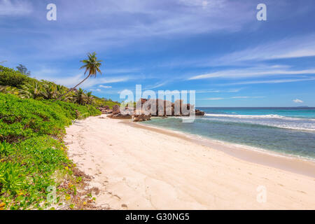 Tropical Beach Anse Coco, La Digue, Seychelles Banque D'Images