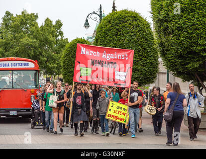 Protestation contre Monsanto et les OGM dans les rues de Victoria, Colombie-Britannique, Canada Banque D'Images