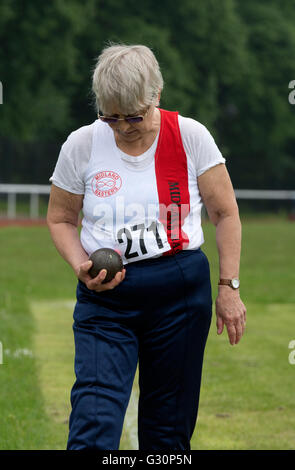 Athlétisme Master UK. Lancer du poids de la femme. Banque D'Images