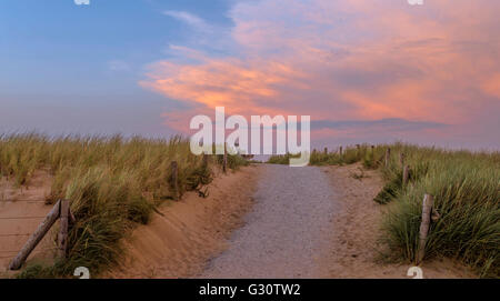 Sentier du littoral le long des dunes avec banc au coucher du soleil, en Katwijk aan Zee, Hollande méridionale, Pays-Bas. Banque D'Images