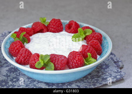 Semences Chia pudding aux fruits rouges Banque D'Images