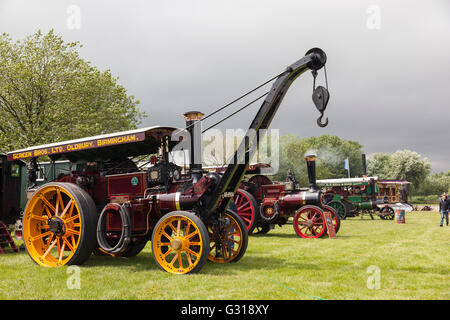 Rangée de moteurs de traction restaurés classiques vintage exposés au Royal Bath and West Show, Shepton Mallet, Somerset, Angleterre, Royaume-Uni Banque D'Images