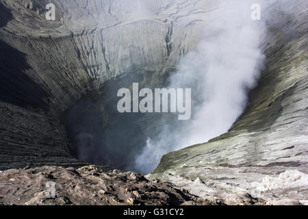 Bromo cratère vocalno avec gaz de fumée, de l'Est de Java, Indonésie Banque D'Images