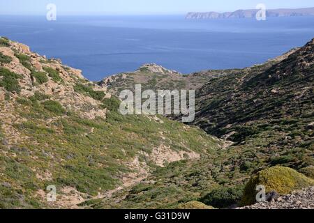 Séché lit crique traversant colline calcaire recouvert de plus en plus faible / phrygana garrigue scrub, Crete Banque D'Images