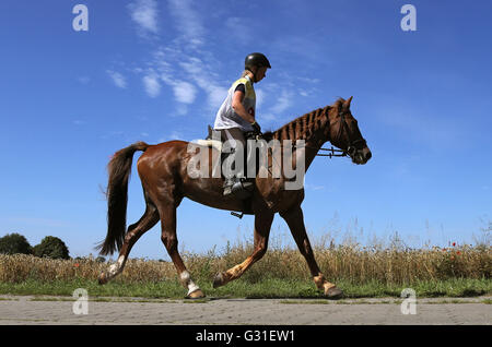 Neustadt (Allemagne), Dosse, cavalier et son cheval sur un parcours d'endurance Banque D'Images