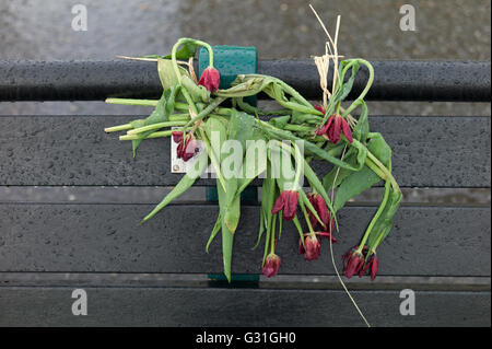 Mémorial de mourir sur un banc de fleurs sous la pluie Banque D'Images