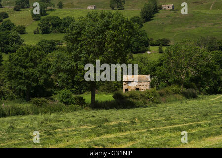 Lignes d'herbe de prairie fauchée et traditionnelle, en pierre, grange sur le terrain - niché dans le cadre de collines près de Hawes, vallées du Yorkshire, Angleterre. Banque D'Images