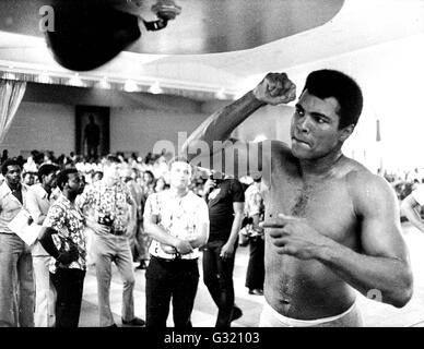 Fichier. 3 juin, 2016. MUHAMMAD ALI, le trois fois champion de boxe poids lourd, est décédé à l'âge de 74 ans. Il avait lutté contre une maladie respiratoire. 'La plus grande' était le boxeur dominante des années 1960 et 1970, Ali a remporté une médaille d'or olympique à Rome en 1960, capturé le monde professionnel Heavyweight Championship à trois occasions, et a défendu avec succès son titre 19 fois. Sur la photo : le 30 octobre, 1974 - 17 Déc., 2004 -Muhammad Ali la formation pour le match Ali-Foreman au Zaïre. © Globe Photos/ZUMAPRESS.com/Alamy Live News Banque D'Images