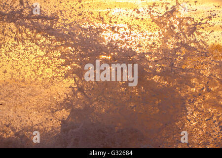 Sydney, Australie. 06 Juin, 2016. Lever de Soleil sur le 6 juin après un week-end de la destruction causée par un roi de la marée et des vagues de tempête. Encore des vagues s'écraser à Shelly Beach. Crédit : Max grue/Alamy Live News Banque D'Images