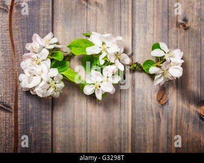 Fleurs Apple sur fond de bois. Branche de l'arbre en fleurs au printemps. Haut de la vue, télévision lay Banque D'Images